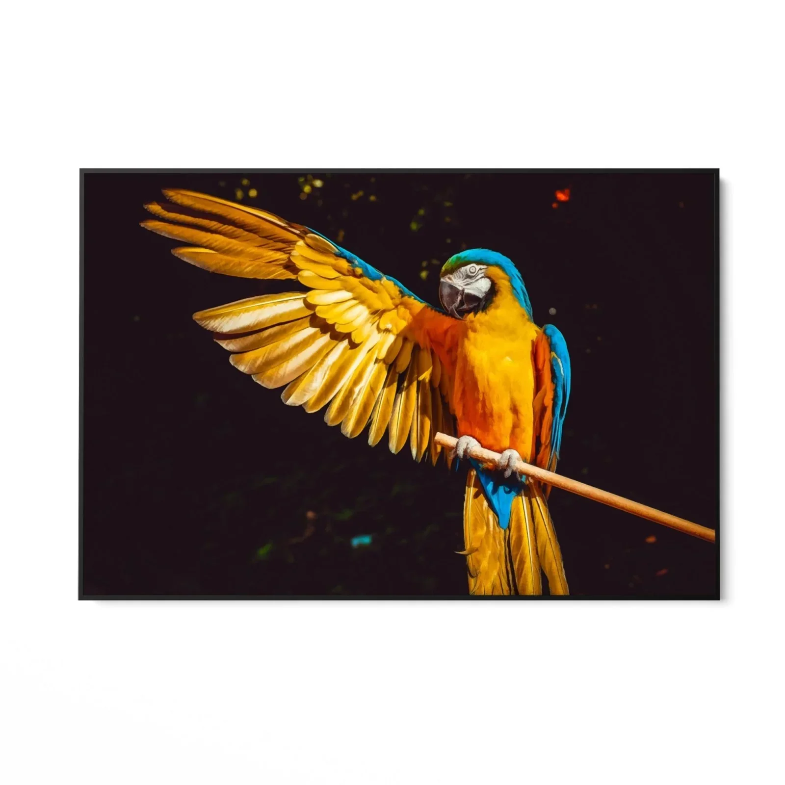 Miniatura 6