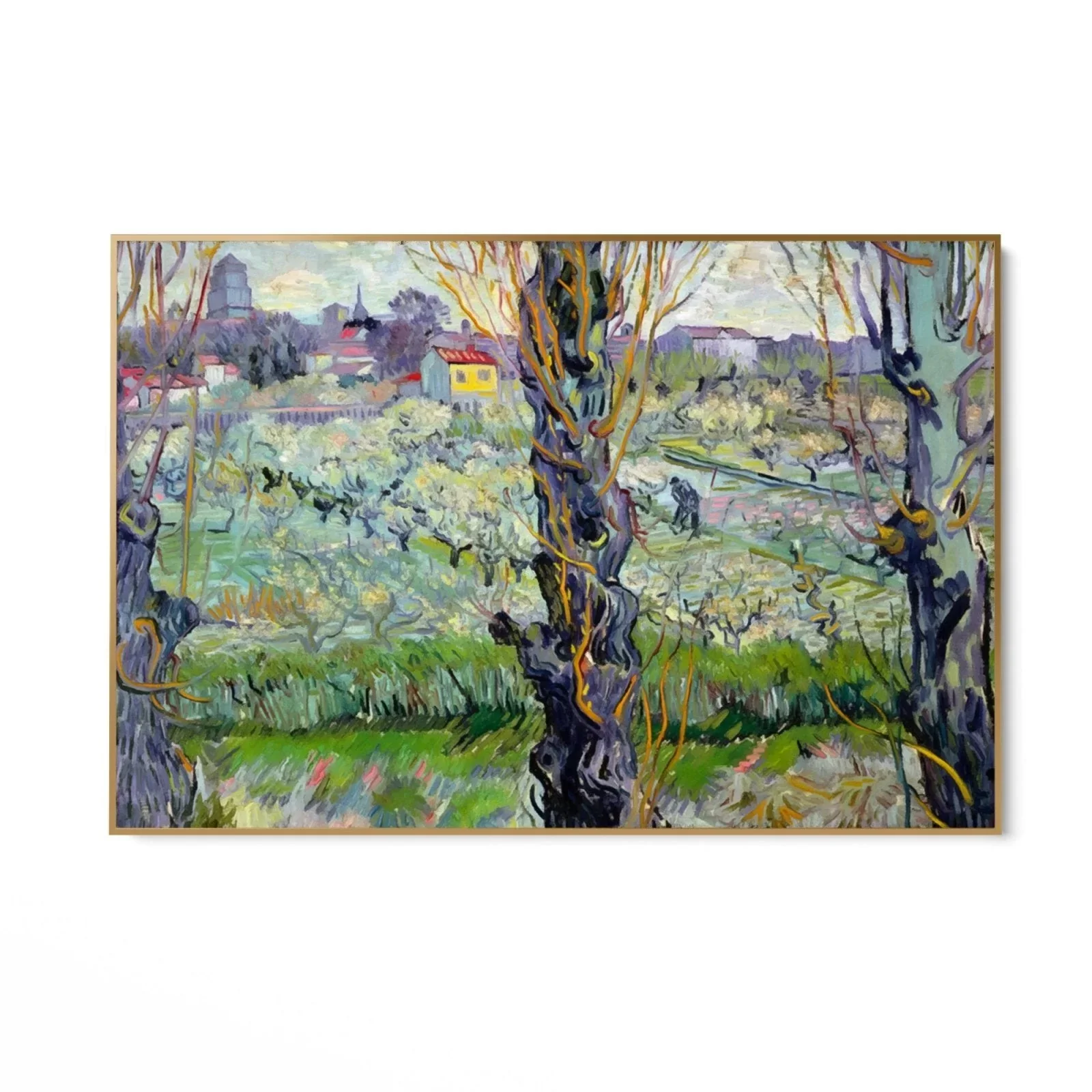 Miniatura 8
